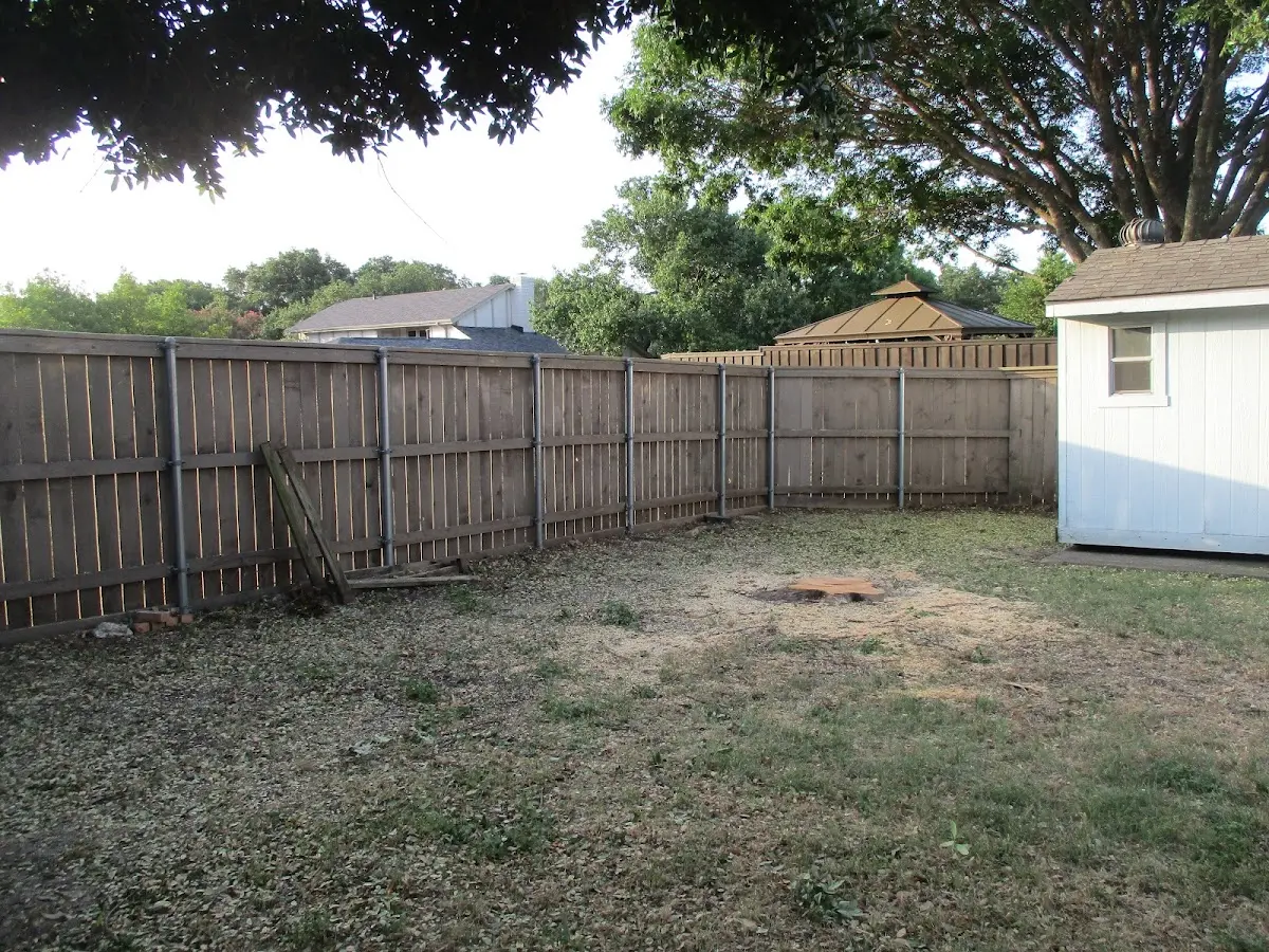 Cleared yard after professional tree removal in Helendale